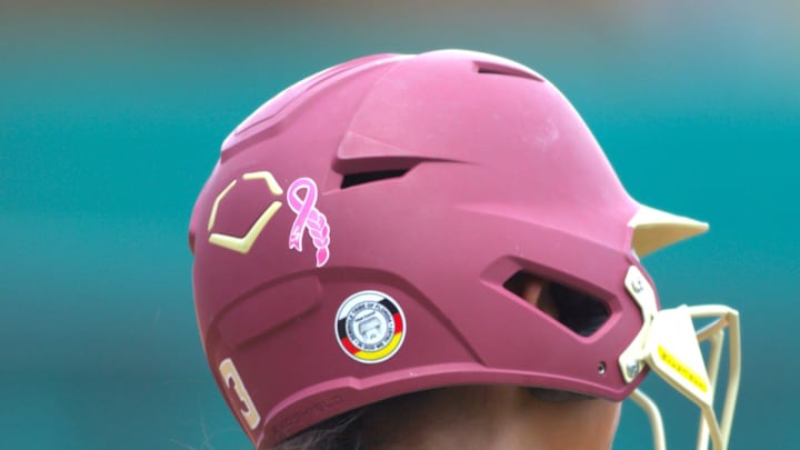 FSU softball faces Auburn in the NCAA Regional Championship game at JoAnne Graff field at Seminole Softball Complex on May 18, 2025