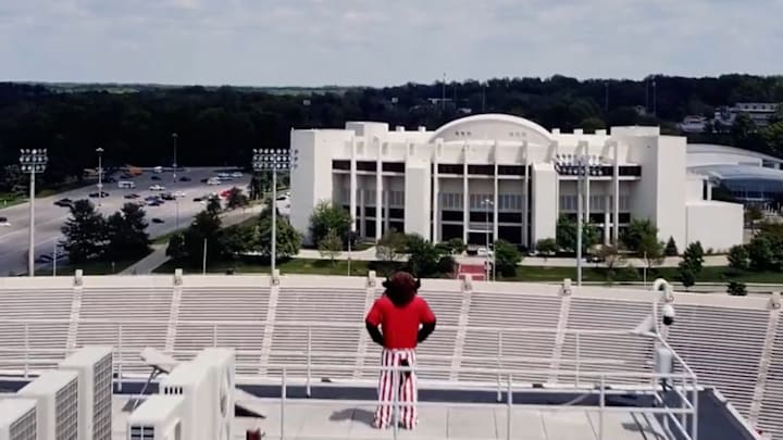 Hoosier The Bison is shown on top of the Memorial Stadium press box as he oversees his realm. Indiana confirmed the bison will be back as the official mascot starting in the fall. Hoosier The Bison is shown on top of the Memorial Stadium press box as he oversees his realm. Indiana confirmed the bison will be back as the official mascot starting in the fall.