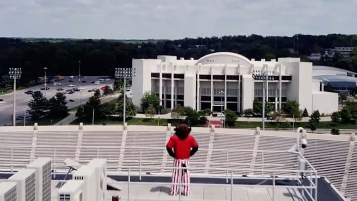Hoosier The Bison is shown on top of the Memorial Stadium press box as he oversees his realm. Indiana confirmed the bison will be back as the official mascot starting in the fall. Hoosier The Bison is shown on top of the Memorial Stadium press box as he oversees his realm. Indiana confirmed the bison will be back as the official mascot starting in the fall.