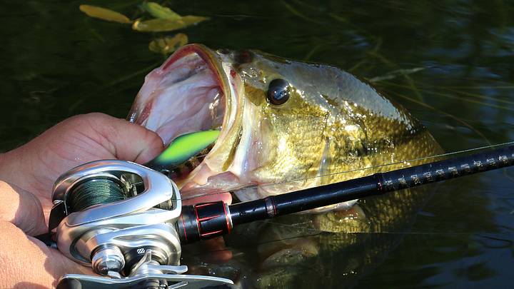 best frog lure bass Topwater Trout Fishing Lures Kit Set Realistic Prop Frog Soft Swimbait Floating Bait with Weedless Hooks for Freshwater Saltwater（Pack of 10） : Sports & Outdoors When they hit Throw Summertime Frog Lures for