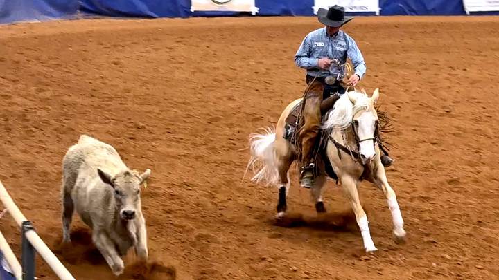 Going “down the fence” - NRCHA Action Going “down the fence” - NRCHA Action