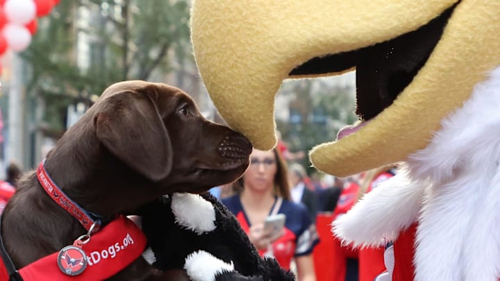 Oct 13, 2021; Washington Capitals mascot Slap Shot plays with Capitals team dog Biscuit, a future service dog to veterans and first responders with disabilities through America's VetDogs