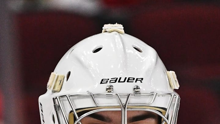 Oct 1, 2022; Chicago, Illinois, USA;  Detroit Red Wings goaltender Sebastian Cossa (33) during a game against the Chicago Blackhawks at the United Center. Mandatory Credit: Jamie Sabau-Imagn Images