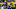 Christian Watson, Green Bay Packers