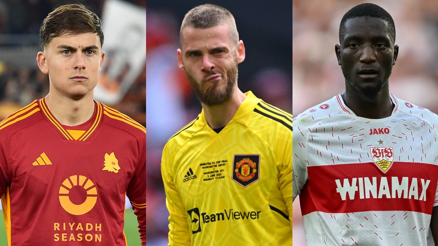 January transfer window: Cut price signings Premier League clubs should ...