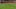 Australia soccer