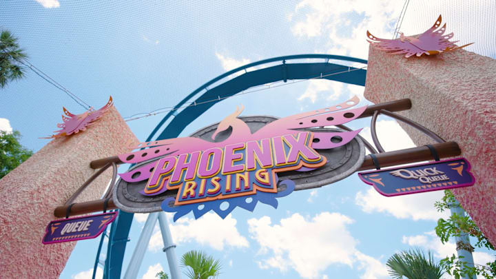 Phoenix Rising at Busch Gardens Tampa Bay