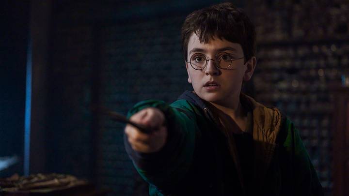 Dominic McLaughlin as Harry Potter Dominic McLaughlin as Harry Potter
