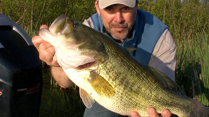 This 7lb., 4oz. beast is the biggest largemouth bass I've seen in the state of Wisconsin. How is this not the best video footage I ever shot?