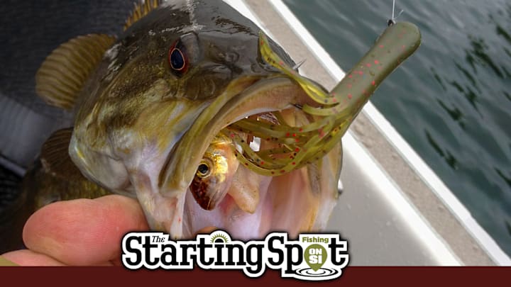 The Starting Spot: -The extended list of top bass baits. -A three-step approach for summer bass.  -Tick bite prevention should be taken seriously.