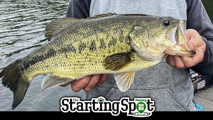 Today on The Starting Spot: The Mayfly Pattern, FFS Crash Course, and a Whopper Plopper Deep Dive.