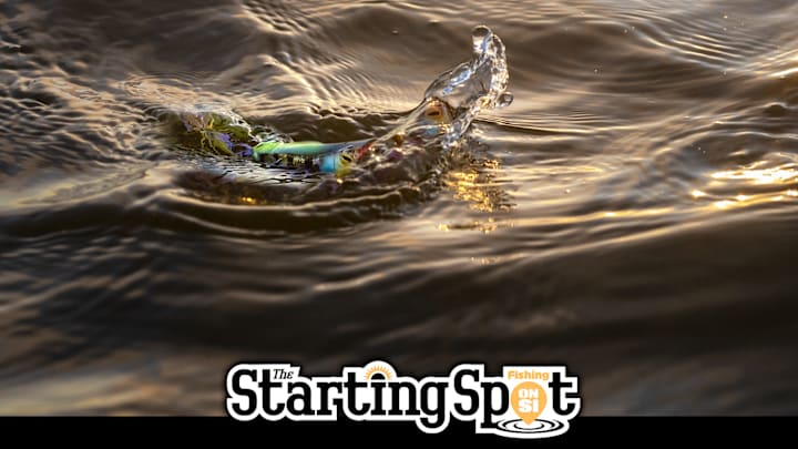The Starting Spot: Father-Son Win Challenge Cup, Bass Fishing at Night, and a New Bass Species The Starting Spot: Father-Son Win Challenge Cup, Bass Fishing at Night, and a New Bass Species