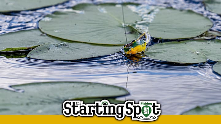 Today on The Starting Spot: B.A.S.S. Limits Forward Facing Sonar, How to Catch Bass in Current, and Which Frog is Best—Walking or Popping? Today on The Starting Spot: B.A.S.S. Limits Forward Facing Sonar, How to Catch Bass in Current, and Which Frog is Best—Walking or Popping?