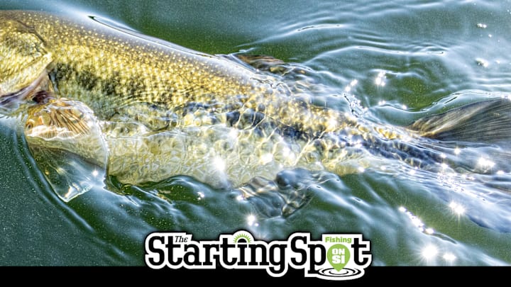 Today on The Starting Spot: Bass on Antique Tackle, 2026 Bassmaster Opens Schedule, and Wheeler’s Still Hungry Today on The Starting Spot: Bass on Antique Tackle, 2026 Bassmaster Opens Schedule, and Wheeler’s Still Hungry