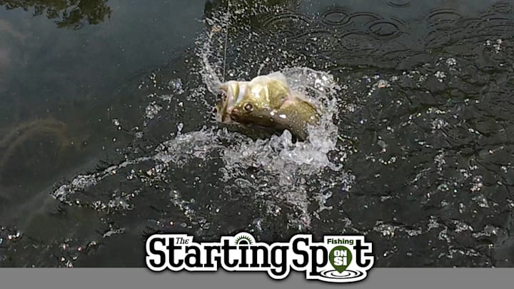 Today on The Starting Spot: Flipjacking Bass, Small Lures for Big Bass, and Palaniuk Predicts Victory Today on The Starting Spot: Flipjacking Bass, Small Lures for Big Bass, and Palaniuk Predicts Victory