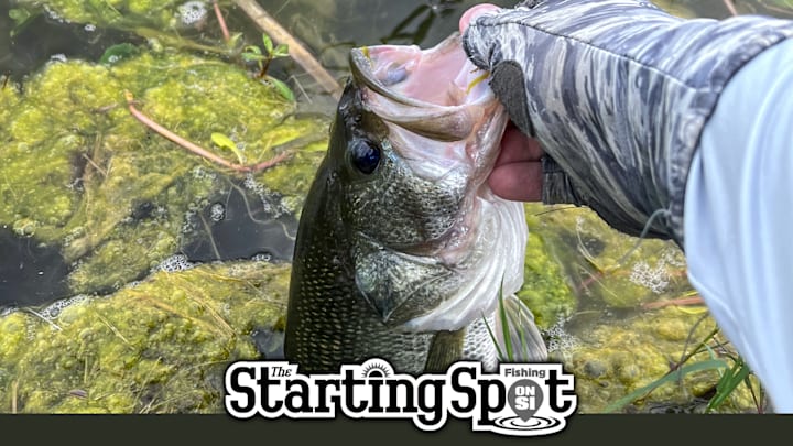Today on The Starting Spot: New 2026 BPT Payouts, Fall Bass Tips, and Youth Fish Art Contest Today on The Starting Spot: New 2026 BPT Payouts, Fall Bass Tips, and Youth Fish Art Contest