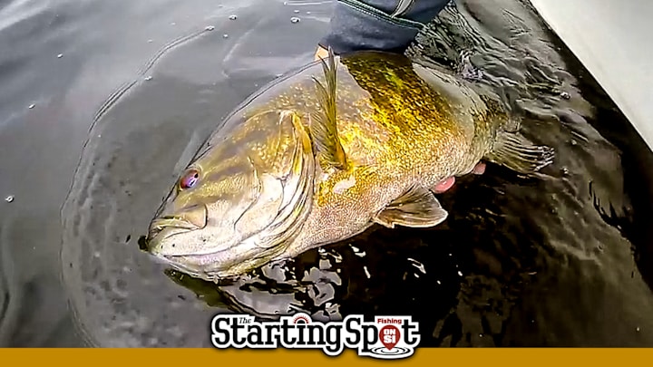 Today on The Starting Spot: Howell Kayak Champ, Fox Wins Toyota Series, and NPFL Info Rule Change Today on The Starting Spot: Howell Kayak Champ, Fox Wins Toyota Series, and NPFL Info Rule Change