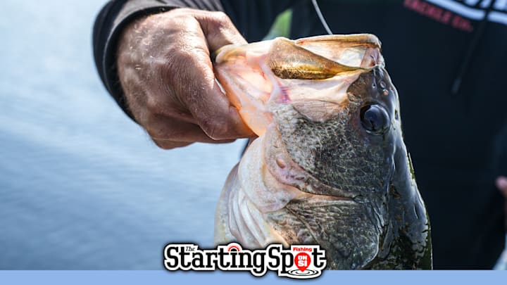 NPFL’s announced a new 30-day No Info Rule. Could this bold change spark smarter leadership and a stronger future for the sport? NPFL’s announced a new 30-day No Info Rule. Could this bold change spark smarter leadership and a stronger future for the sport?