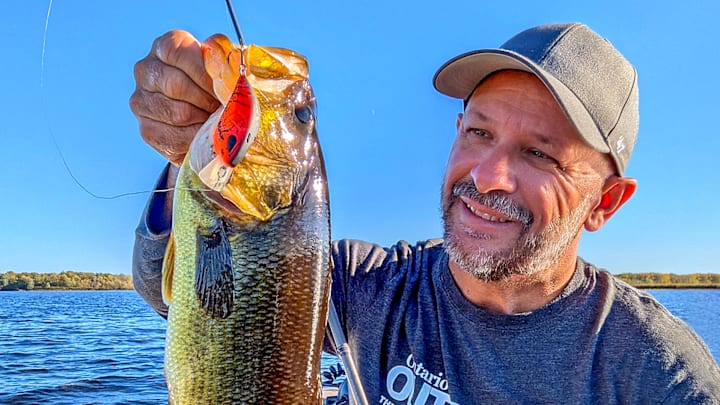 Toss one of these crankbait styles for sure-fire fishing action when targeting bass.