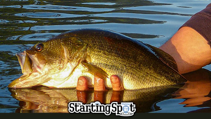 Today on The Starting Spot: Big BFL Changes, 1 Trophy Bass Caught 4 Times, and John Cox Loves Bream Today on The Starting Spot: Big BFL Changes, 1 Trophy Bass Caught 4 Times, and John Cox Loves Bream