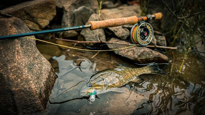 bass fishing uses for shimano curado 70 Shimano CURADO 70HG  Hook, Line & Sinker Harlingen