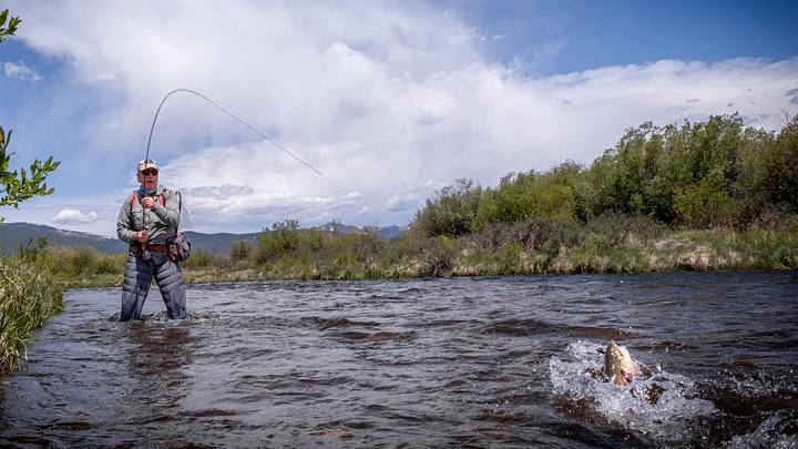 I pulled this trout from deeper water with a black rabbit-fur streamer. 