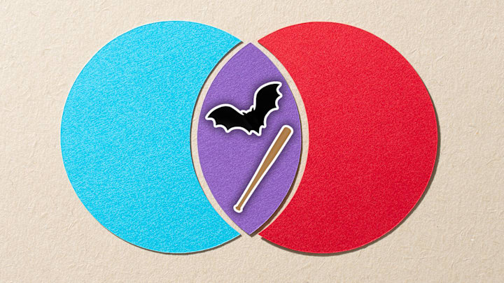 Bats are homographs, homophones, and homonyms.