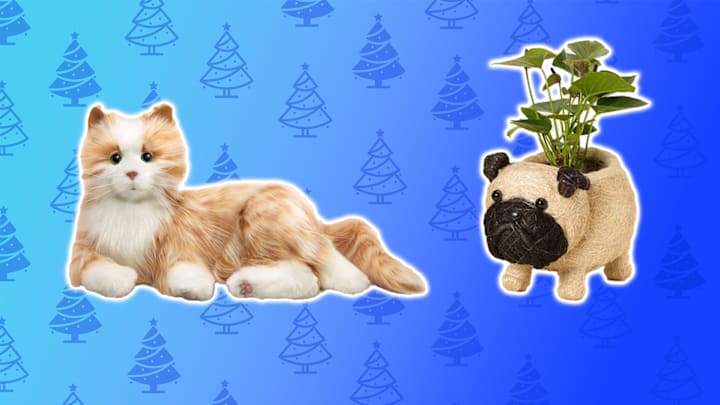 They’re just as adorable as a real pet.