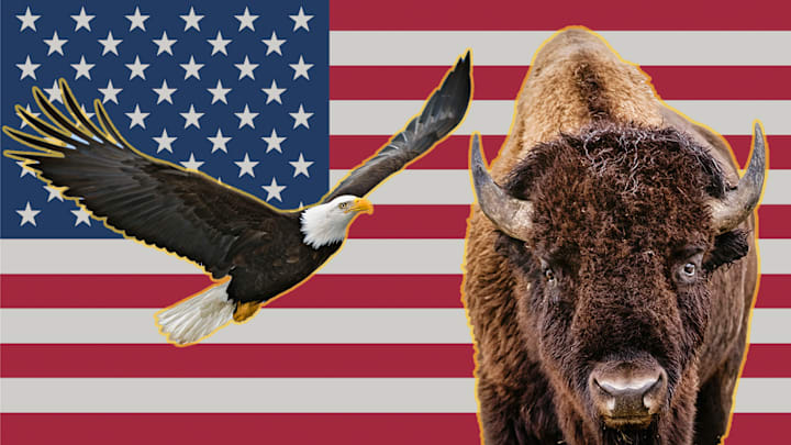The national animals of the U.S.