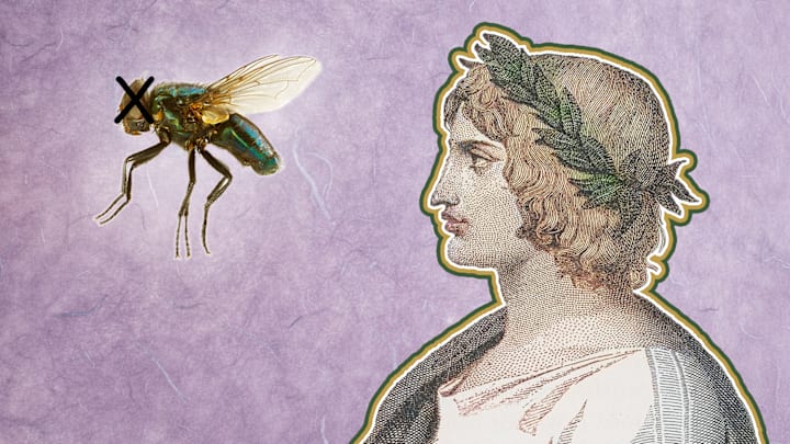 RIP, precious fly.