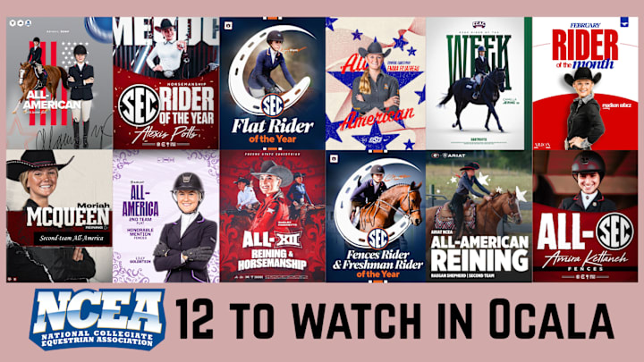 The NCEA Championship will will start on Thursday at the World Equestrian Center in Ocala, Fla. Here are 12 riders to keep an eye on during the competition. The NCEA Championship will will start on Thursday at the World Equestrian Center in Ocala, Fla. Here are 12 riders to keep an eye on during the competition.