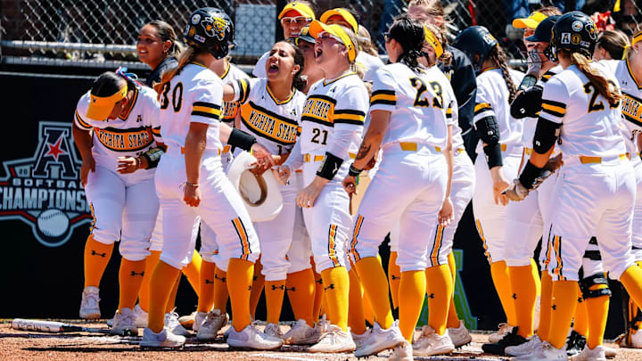 Which NCAA Division I Softball Programs Have the Most Players in the Transfer Portal?