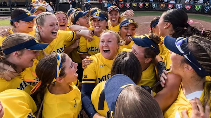 Michigan softball has added an NFCA All-American to its coaching staff.