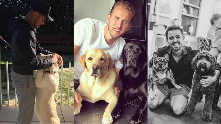 Many of the biggest names at the World Cup have furry friends at home.