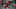 PRDF-Episode17_(145)20211019-4465-1tg7jq2 PRDF-Episode17_(145)20211019-4465-1tg7jq2