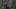 The Last of Us season 2 episode 6 206 Ellie (Bella Ramsey) Joel (Pedro Pascal) Ellie Joel Ellie The Last of Us season 2 episode 6 206 Ellie (Bella Ramsey) Joel (Pedro Pascal) Ellie Joel Ellie
