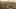 Beta Test Beta Test