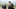 emilia-clarke-kit-harington emilia-clarke-kit-harington