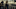 Emilia Clarke as Daenerys Targaryen Emilia Clarke as Daenerys Targaryen