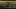 harry-collett-