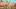 Avatar: Seven Havens, episode 8, season 1, streaming on Paramount+, 2026. Avatar: Seven Havens, episode 8, season 1, streaming on Paramount+, 2026.