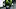 Teitum Tuioti Oregon Ducks Matayo Uiagalelei Nebraska Cornhuskers College Football Autzen Stadium Big Ten Conference Teitum Tuioti Oregon Ducks Matayo Uiagalelei Nebraska Cornhuskers College Football Autzen Stadium Big Ten Conference