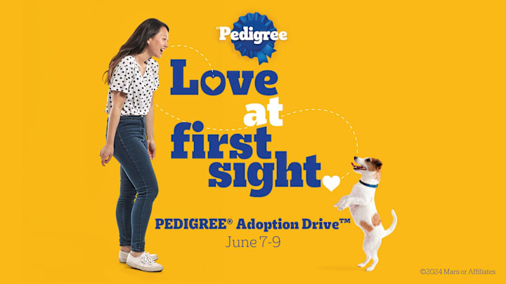 Pedigree's Love at First Sight Image. Image credit to Kate Dryden. 
