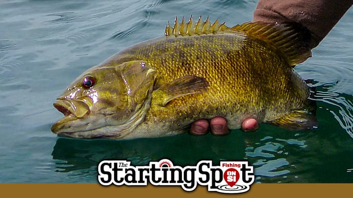 The Starting Spot: -Seth Feider has teamed up with Z-Man to create the new “Secret Agent” Smallmouth bait. Definitely worth a look. -Bass jigs are a standard, a go-to, a reliable must-fish for bass anglers everywhere. But what if you could make them even better? -Especially in the heat of summer, creating the healthiest possible environment for the “passengers” riding in your live well is critical. Installing an oxygenator is easy and the bass will thank you.