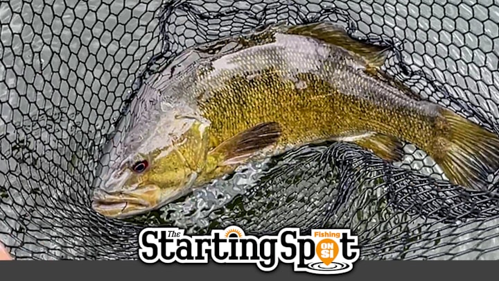 The Starting Spot -Bernie Schultz’s ICAST 2025 picks -Lake Okeechobee in FL re-vegetation program -A new take on the Ned rig The Starting Spot -Bernie Schultz’s ICAST 2025 picks -Lake Okeechobee in FL re-vegetation program -A new take on the Ned rig