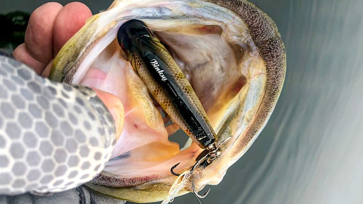 5 of the most effective topwater lures for largemouth and smallmouth bass. Learn how to fish poppers, walking baits, buzzbaits, ploppers, and frogs to trigger wild topwater strikes.