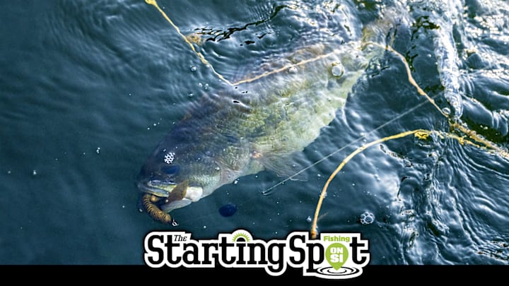 In The Starting Spot Today: 2026 REDCREST Location, a Rare Hybrid Super Bass, and Wheeler As Seen by KVD In The Starting Spot Today: 2026 REDCREST Location, a Rare Hybrid Super Bass, and Wheeler As Seen by KVD