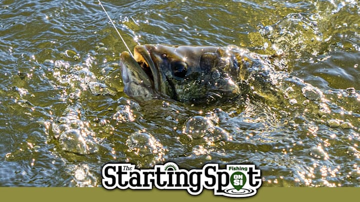 Today on The Starting Spot: Menendez Fishing the EQs, a Hall of Fame Auction, and Buzzbait Bass Tips