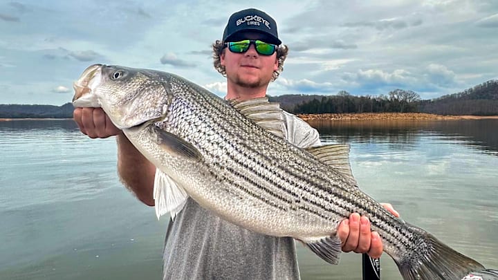 A healthy freshwater striper that came up schooling on shad!