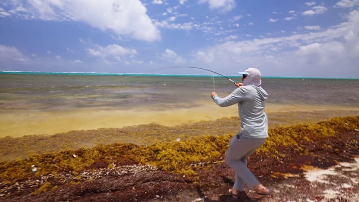 Scott Finanger of Wild Fly with "fish on!" in Belize. Scott Finanger of Wild Fly with "fish on!" in Belize.